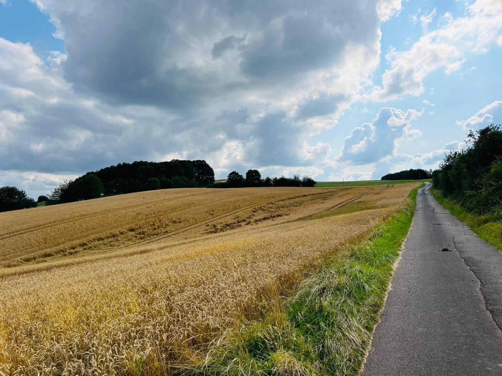 Ferienwohnung In Der Schoenen Eifel! Мехерних Екстериор снимка